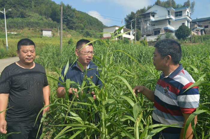 始終把脫貧攻堅(jiān)的責(zé)任扛在肩上