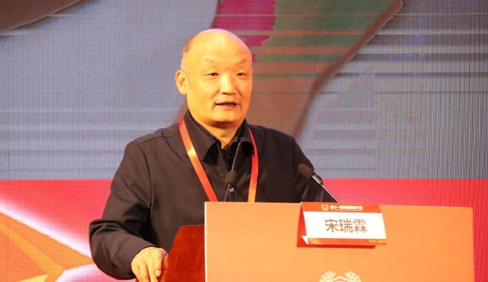 中國醫(yī)藥創(chuàng)新促進(jìn)會執(zhí)行會長宋瑞霖進(jìn)行主題演講