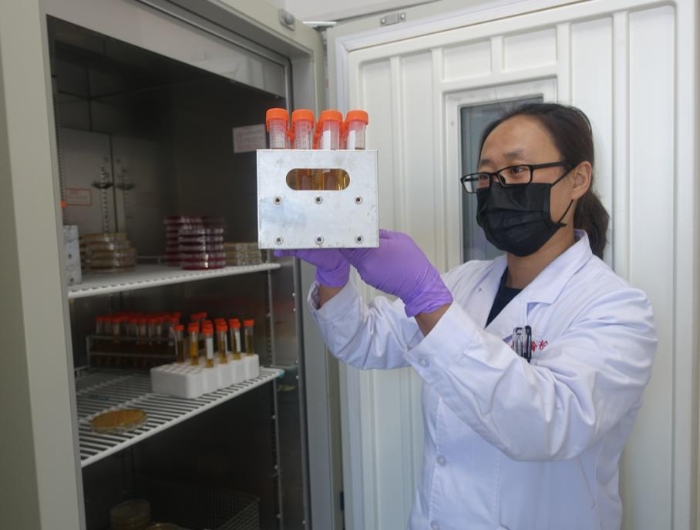 高瑞霞正在實(shí)驗(yàn)室觀察防護(hù)服滅菌用生物指示劑的檢驗(yàn)結(jié)果。記者 楊燕攝