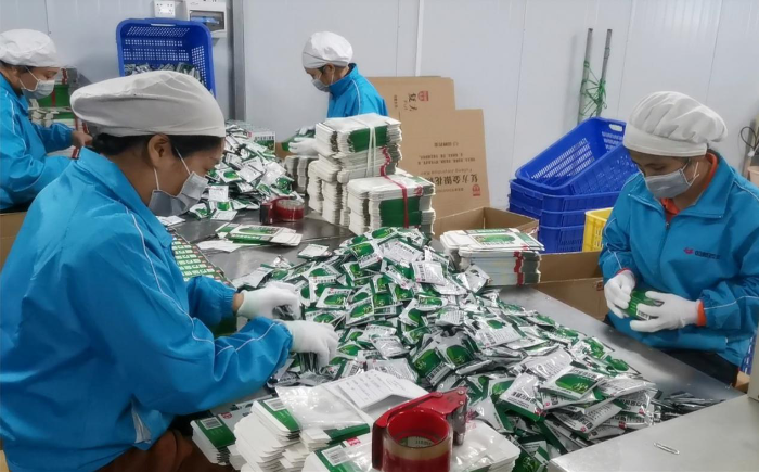 圖為雙蟻藥業(yè)生產(chǎn)一線員工提前復工復產(chǎn)（莫永娟 攝）