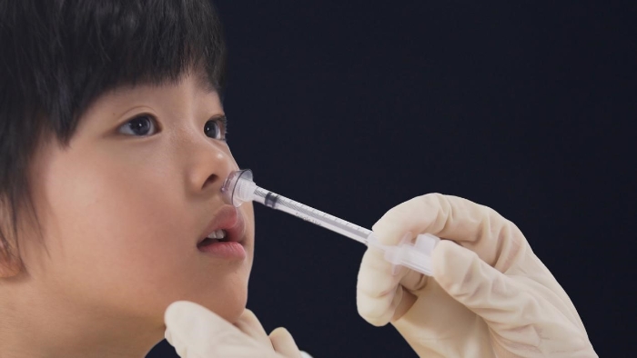圖為鼻噴流感減毒活疫苗接種示意圖。