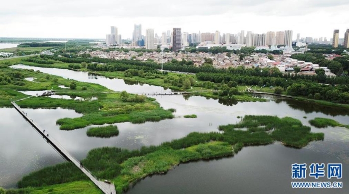 6月25日，市民在哈爾濱大劇院附近的城市濕地游玩（無人機(jī)照片）。新華社記者王建威攝