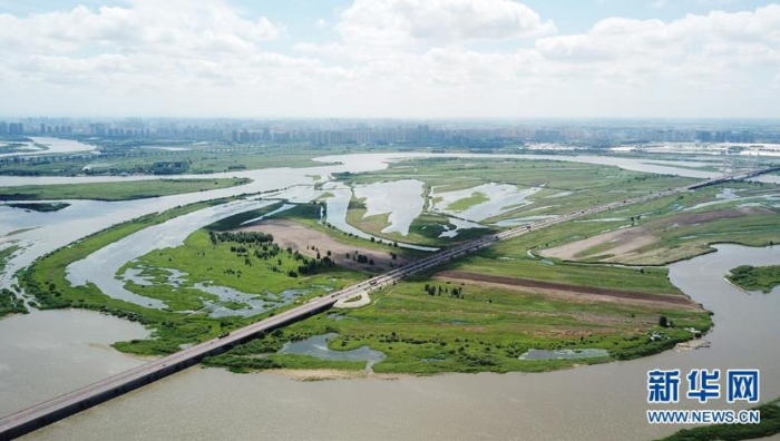 這是6月18日拍攝的黑龍江太陽(yáng)島國(guó)家濕地公園局部（無人機(jī)照片）。新華社記者王建威攝