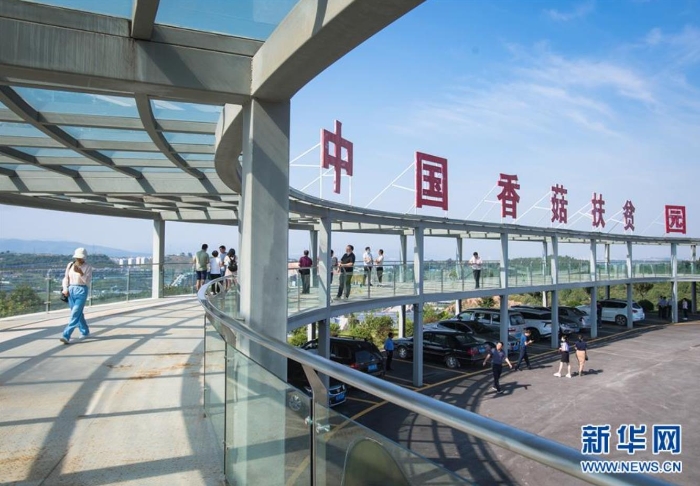 湖北省十堰市鄖陽(yáng)區(qū)青龍泉社區(qū)香菇產(chǎn)業(yè)基地（8月28日攝）。新華社記者 肖藝九 攝