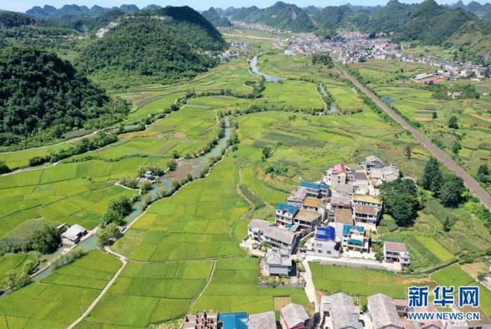 貴州省安順市鮑家屯周圍的稻田和水利工程（8月25日攝，無人機(jī)照片）。新華社記者 劉續(xù) 攝