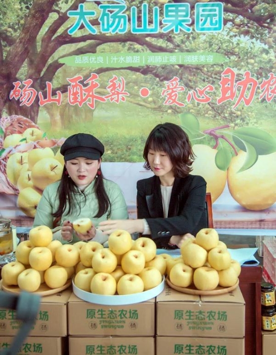 安徽碭山：特色產(chǎn)業(yè)搭“快車”，“電商扶貧”再升級(jí)