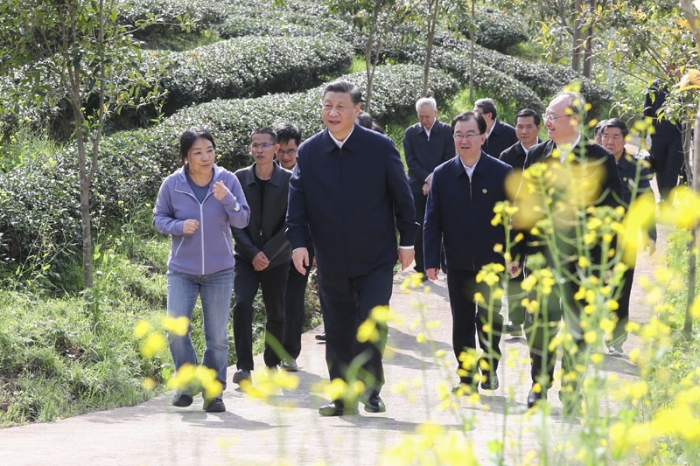 3月22日至25日，中共中央總書記、國家主席、中央軍委主席習近平在福建考察。這是22日下午，習近平在南平武夷山市星村鎮(zhèn)燕子窠生態(tài)茶園，察看春茶長勢，了解當地茶產業(yè)發(fā)展情況。新華社記者 鞠鵬 攝
