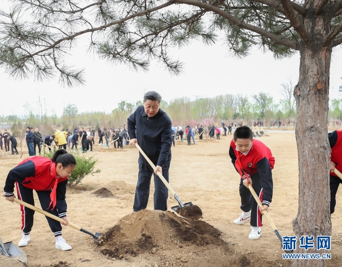習(xí)近平在參加首都義務(wù)植樹活動