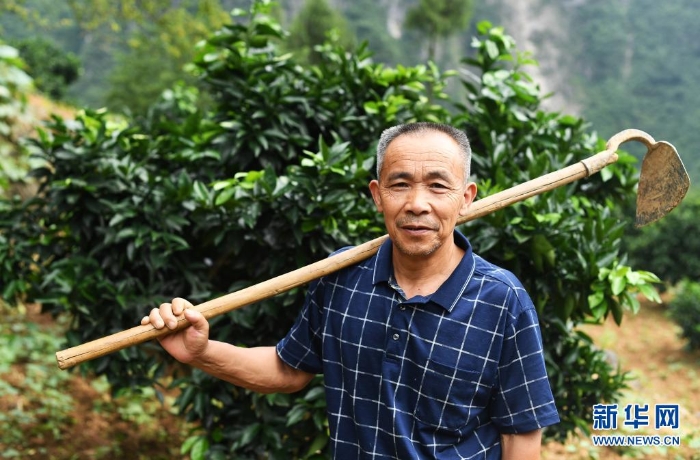 這是2020年7月3日在重慶市巫山縣竹賢鄉(xiāng)下莊村拍攝的毛相林。新華社記者 王全超 攝
