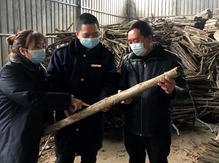圖為工作人員在農(nóng)民專業(yè)合作社了解中藥材采收情況。