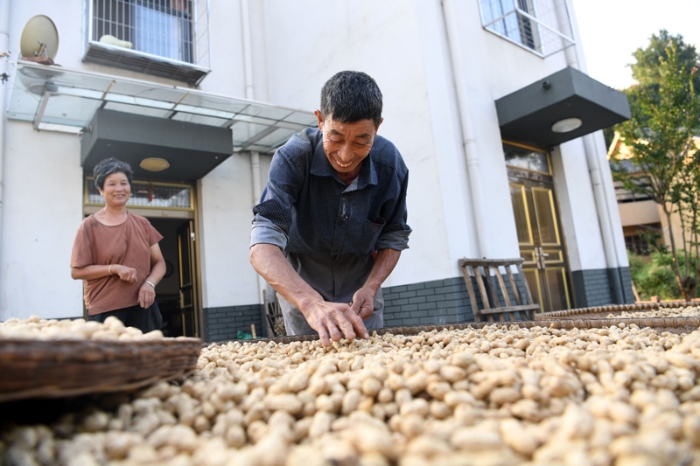 安徽省金寨縣大灣村村民在自家新房前晾曬花生（2019年9月3日攝）。新華社記者 鮑菲菲 攝
