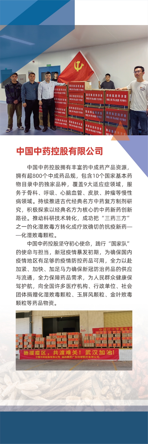 中藥控股