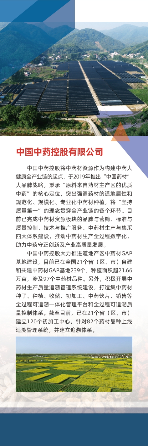 中藥控股