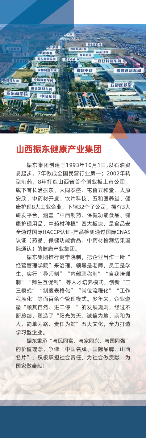 山西振東