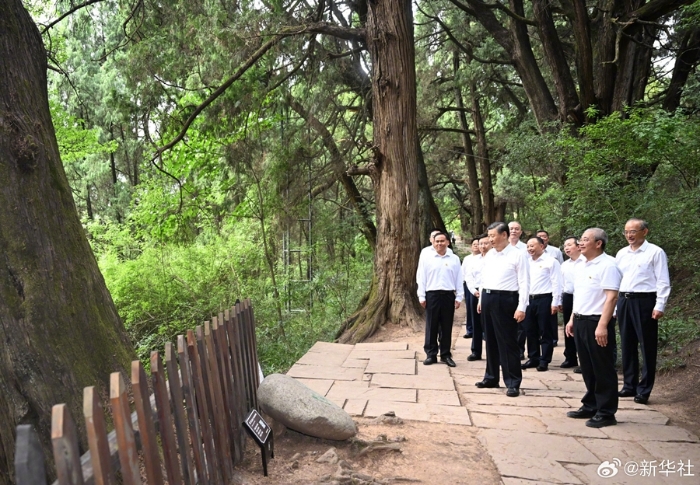 習(xí)近平在四川考察調(diào)研