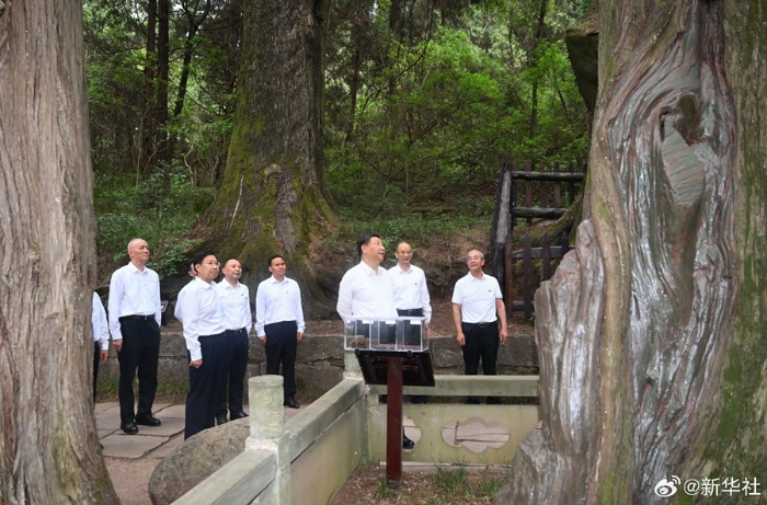 習(xí)近平在四川考察調(diào)研