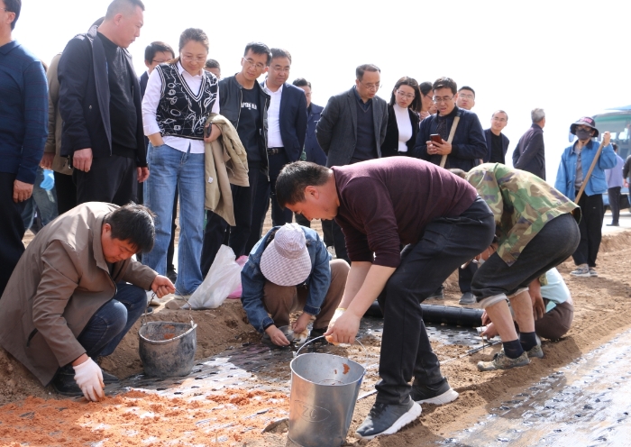 圖為參訓(xùn)人員在首陽鎮(zhèn)中藥材種植基地現(xiàn)場觀摩中藥材標(biāo)準(zhǔn)化栽培流程