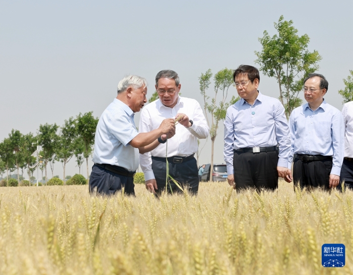 5月22日至23日，中共中央政治局常委、國務(wù)院總理李強在河南調(diào)研。這是5月23日，李強在新鄉(xiāng)市平原示范區(qū)高標(biāo)準(zhǔn)農(nóng)田調(diào)研。新華社記者 王曄 攝